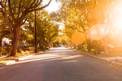 Empty road amidst trees during autumn