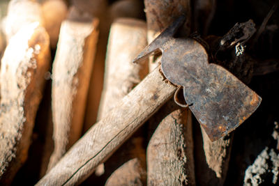 Close-up of rusty wood in forest