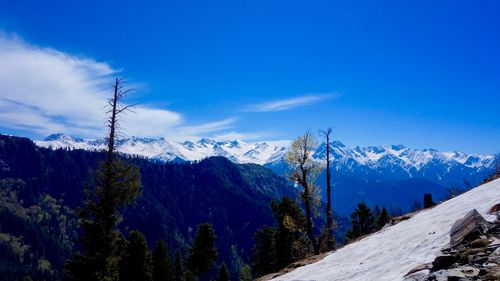 Scenic view of trees and snowcapped mountains against blue sky during winter