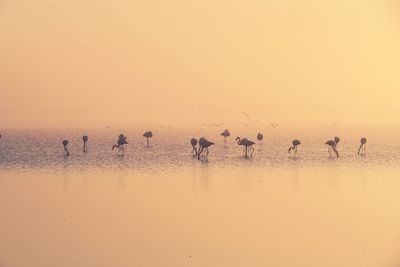 Scenic view of sea against clear sky during sunset