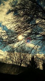 Low angle view of bare trees against sky at sunset