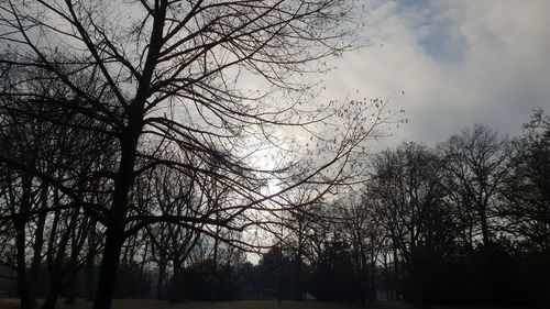 Low angle view of silhouette bare trees against sky