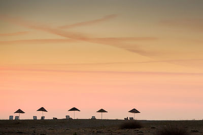 Silhouette birds on beach against sky at sunset