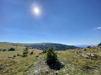 Scenic view of landscape against blue sky