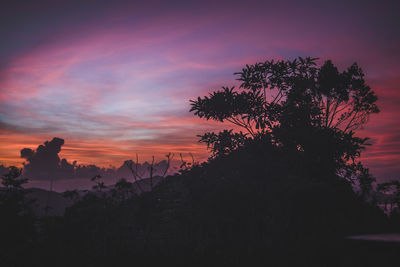 Silhouette trees against sky during sunset