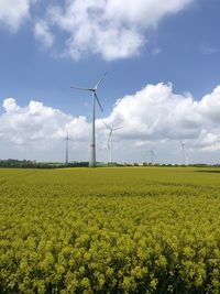 Wind turbines on field against sky, windpark hinter einem blühendem rapsfeld 