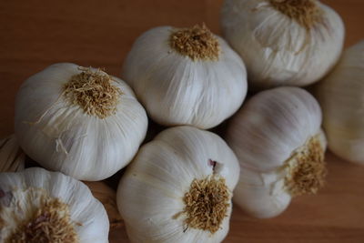 Close-up of garlic on table
