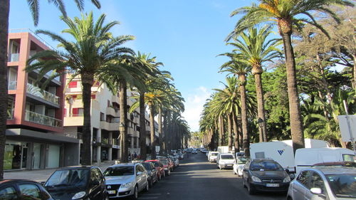 Cars parked on road