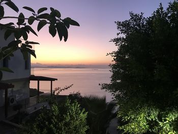 Silhouette plants by swimming pool against sky during sunset