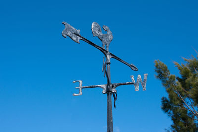 Low angle view of bird perching on tree against blue sky