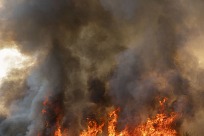 Panoramic view of fire crackers against sky