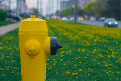 Close-up of yellow fire hydrant on field