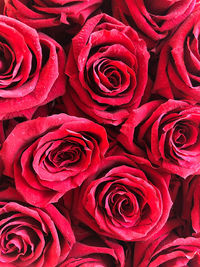 Close-up of rose bouquet
