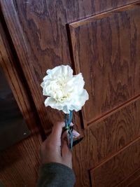 Midsection of woman holding flower