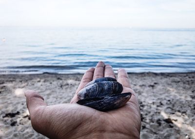 Close-up of hand holding shell by sea against sky