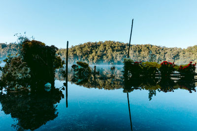 Scenic view of lake against clear blue sky