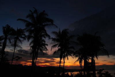 Silhouette of palm trees at sunset