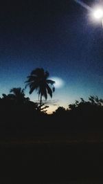 Silhouette palm trees against sky at night