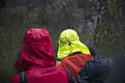 Rear view of woman with umbrella in forest during rainy season