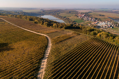 High angle view of agricultural field