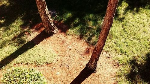 Close-up of shadow on beach