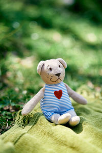 Close-up of stuffed toy on grass