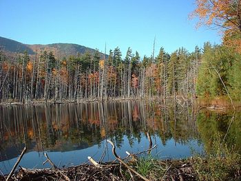 Scenic view of calm lake against clear sky