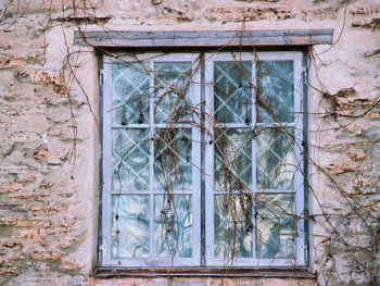 Close-up of window of house