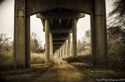 Empty road amidst trees against sky