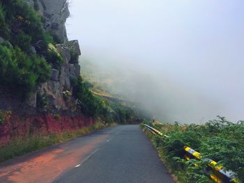 Road passing through forest