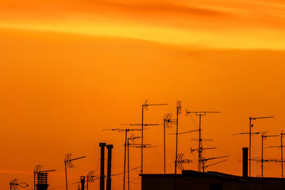 Cranes at sunset