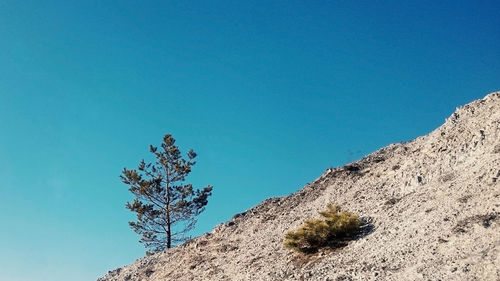 Low angle view of tree on mountain against clear sky