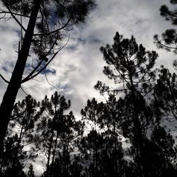 Low angle view of trees against cloudy sky