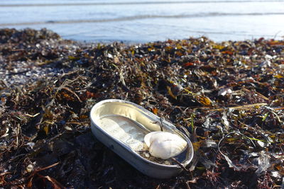 View of empty fish tin on beach