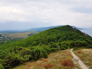 Scenic view of landscape against sky