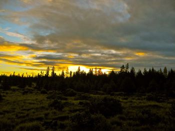 Scenic view of landscape against cloudy sky