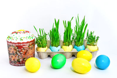 Close-up of food on white background