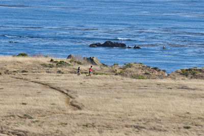 People riding bicycle on field by sea