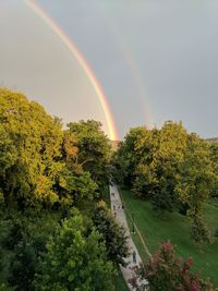 Rainbow over trees against sky