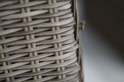 Close-up of wicker basket with a bee on the side