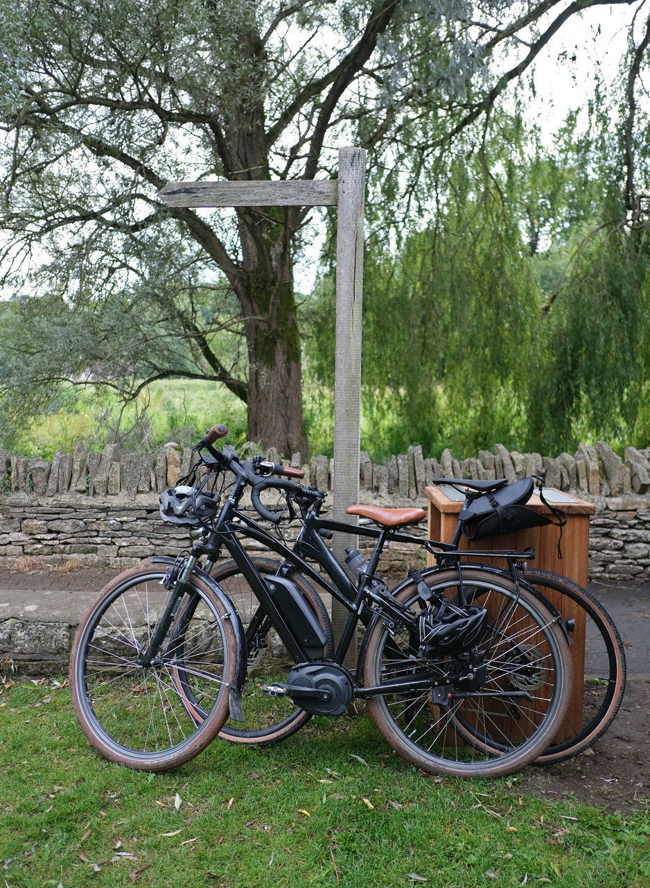 BICYCLE PARKED ON TREE TRUNK IN FOREST