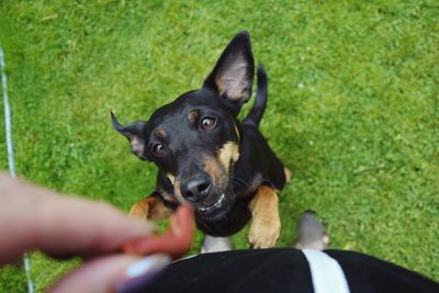 Close-up of woman with dog