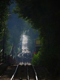 Railroad tracks amidst trees against sky