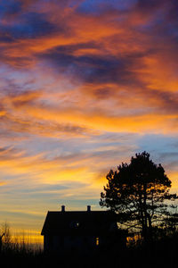 Silhouette of tree against dramatic sky