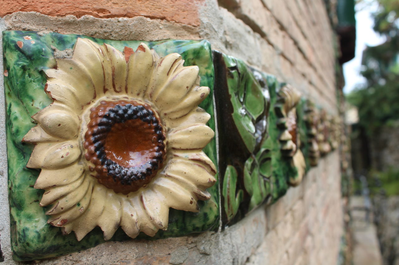 flower, green, plant, no people, close-up, nature, day, freshness, food, food and drink, outdoors, yellow, wood, flowering plant, architecture, beauty in nature, wall - building feature, art, focus on foreground, growth, floristry, garden