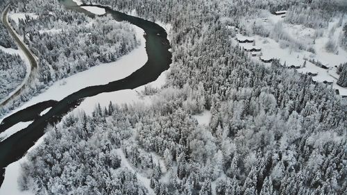 High angle view of snow covered trees in forest