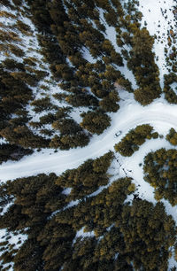 High angle view of snow covered landscape