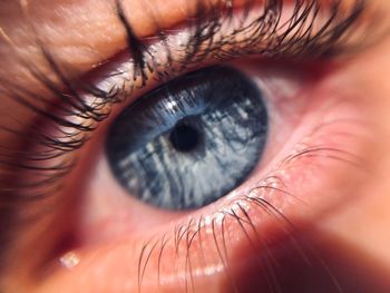 Extreme close-up of human eye