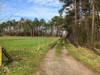 Dirt road amidst trees on field against sky