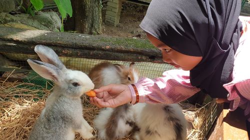 Cute girl feeding rabbit